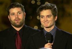 "Wood, I can't believe we just had to say that."