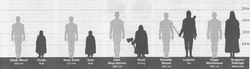 click for the full-size version of Herr der Ringe's cast/character height chart