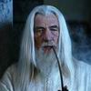 LOTR.net: "Gandalf (Ian McKellen) must decide how to best defend Minas Tirith, the chief city of Gondor"